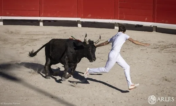 Course camarguaise : concours des écoles de raseteurs