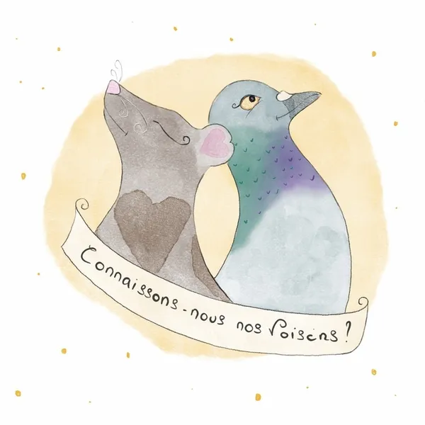 À la découverte des rats et des pigeons : connaissons-nous nos voisins ?