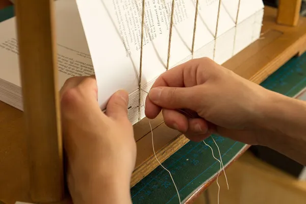 L'Art de la Reliure : quand le livre résiste et se ré-imagine