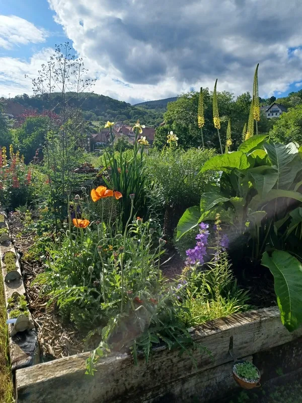 Découverte du jardin de Charanozi