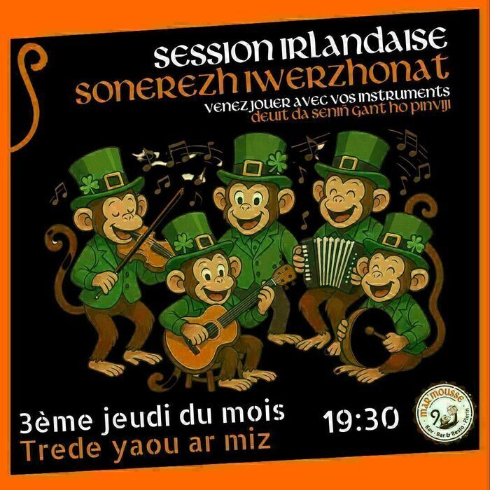 Session de musique irlandaise
