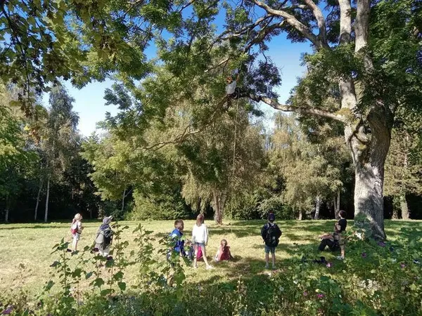 Levez les yeux ! De l'arbre à la brique