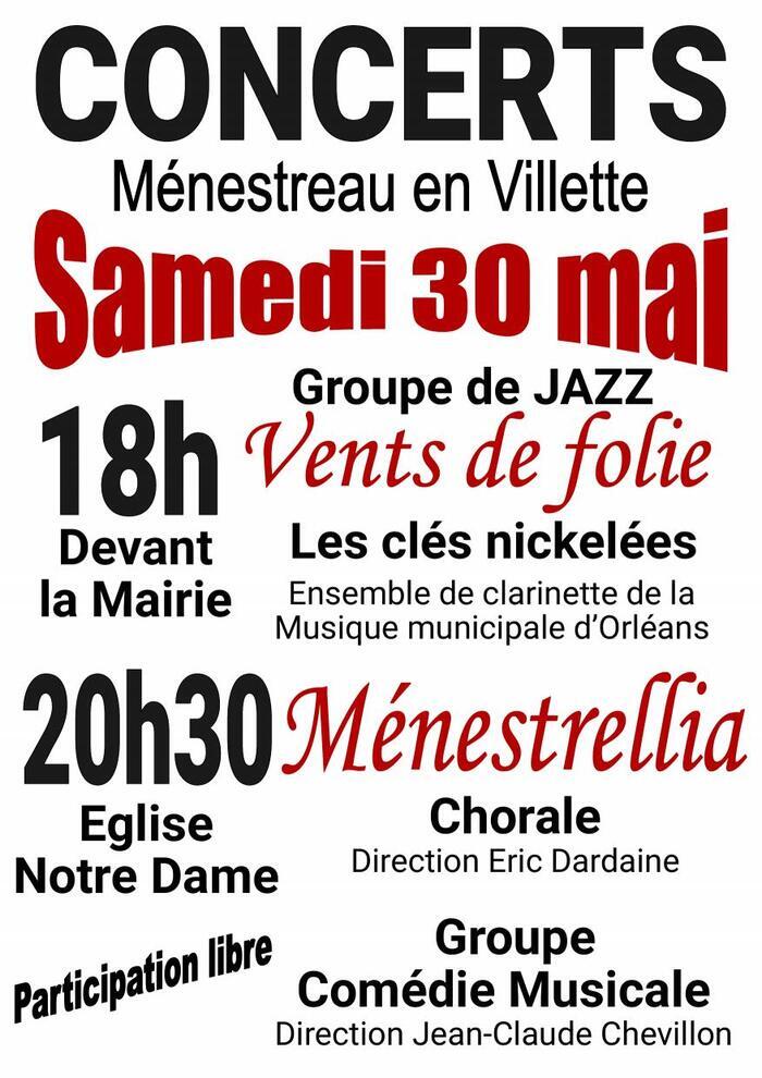 Soirée musicale à Ménestreau-en-Villette