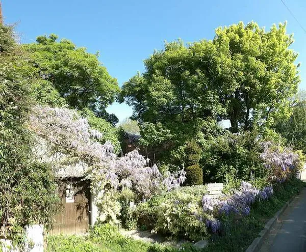 Visite commentée didactique du Jardin des Tours