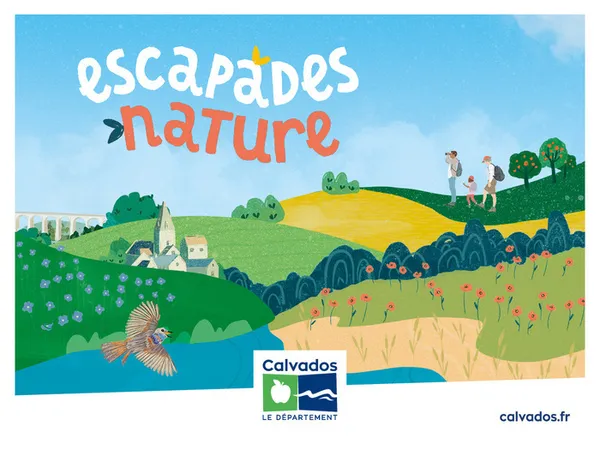 Sortie champignons en forêt de Valcongrain avec cueillette