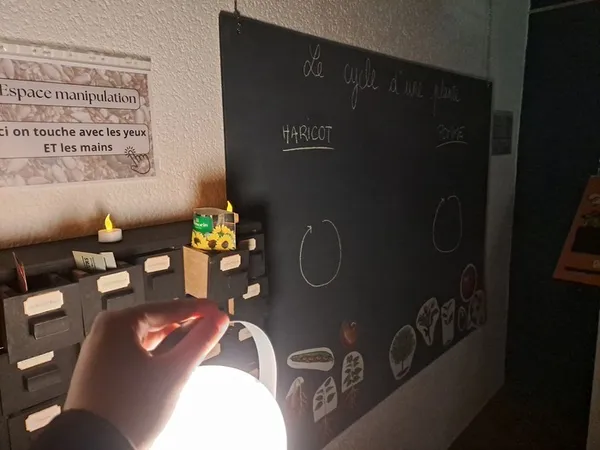 Nuit de l'Araire