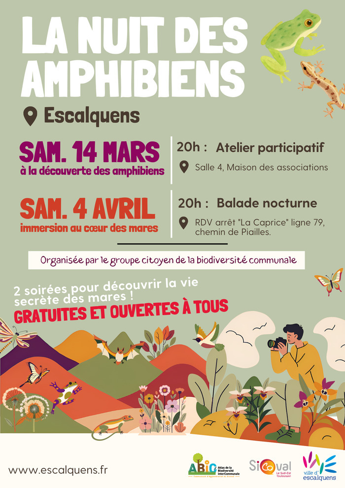 La nuit des amphibiens