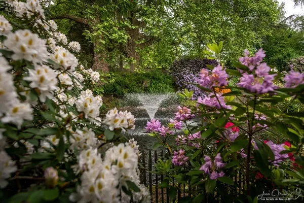 Visite historique et sensible d'un jardin à l'anglaise