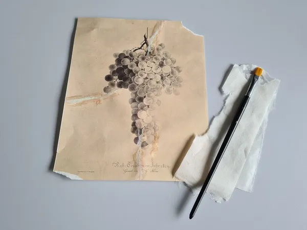 DANS L’ATELIER D’ENGELMANN
