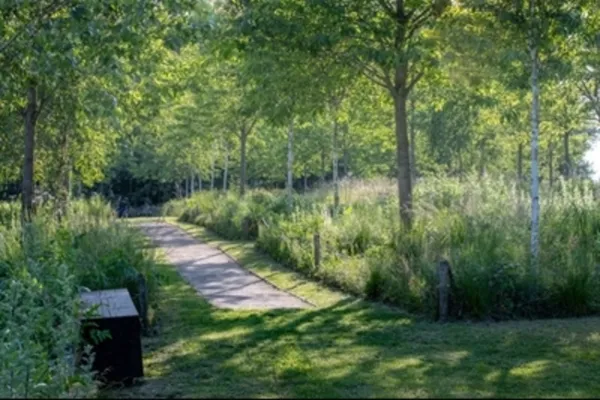 Visite guidée du Jardin de la paix Français par les paysagistes-concepteurs Élise et Martin Hennebique