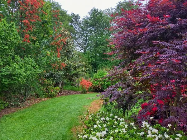 Découverte des collections de plantes de terre de bruyères des jardins