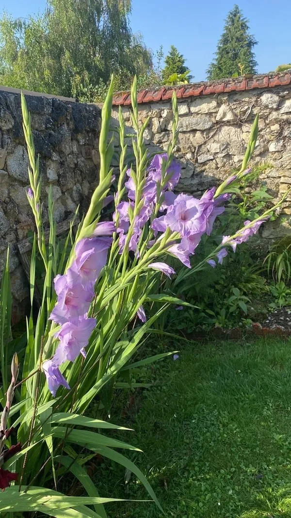 Visite du Jardin des Potins