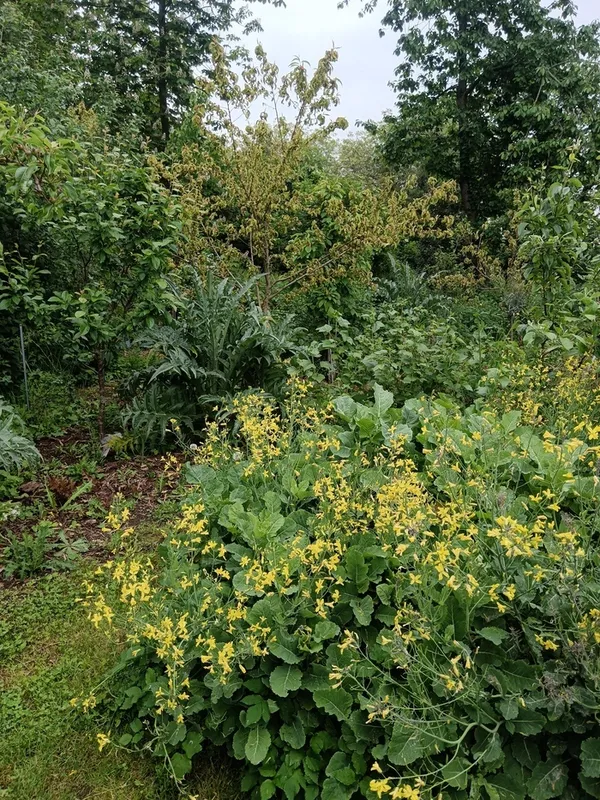 Visite d'une forêt jardin en ville