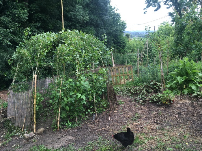 Le jardin de l'harmonisation