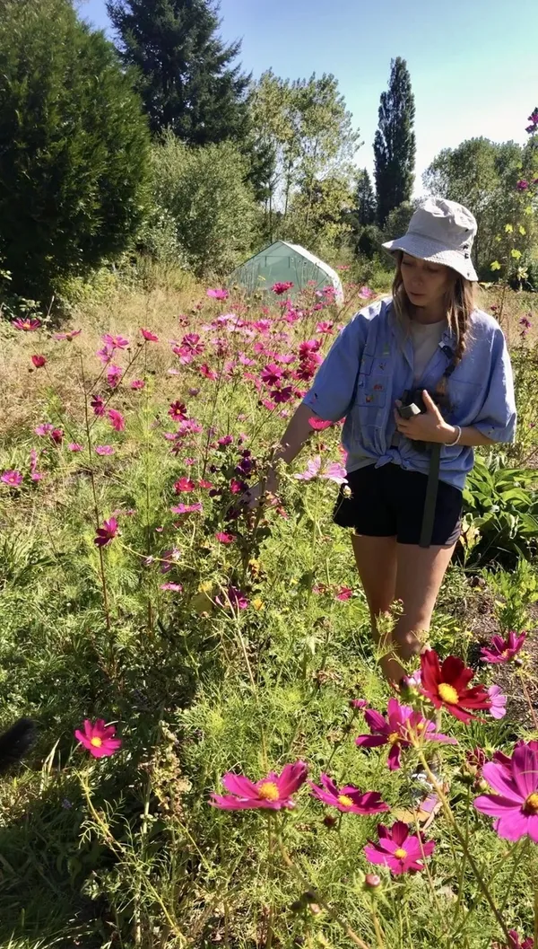 Visite d’un jardin de plantes aromatiques, sans la vue !