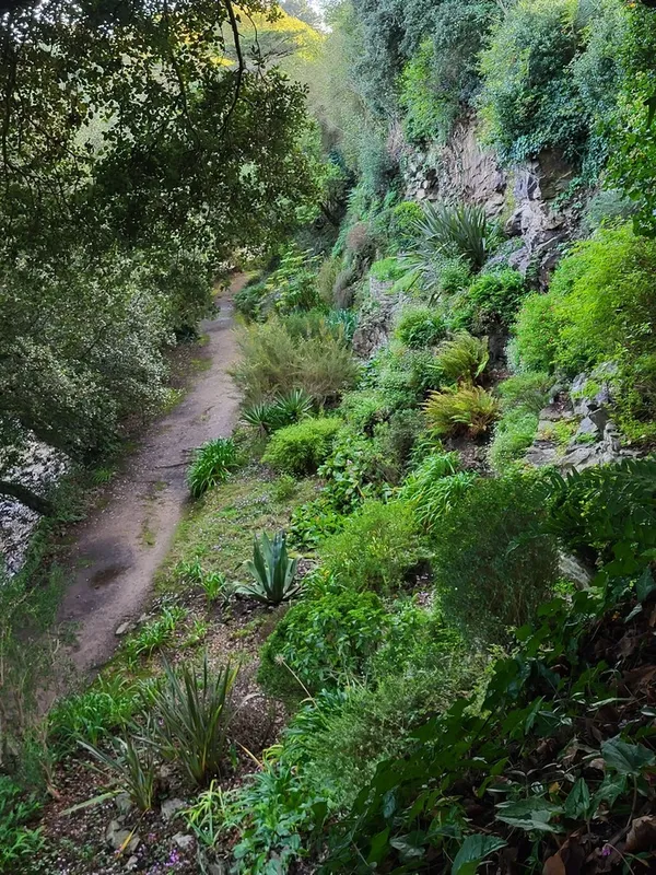 Visites commentées des jardins du Montmarin