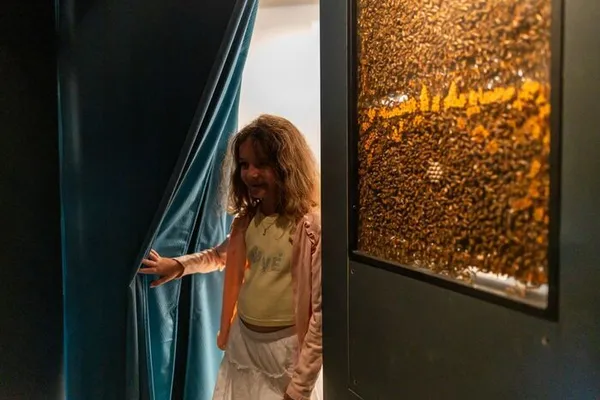 Visite du Musée sensoriel des abeilles et de l'apiculture
