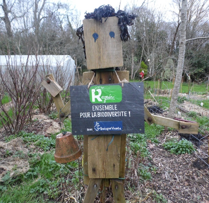 Conférence sur la Charte Regain - Comment et pourquoi accueillir la biodiversité dans son jardin ?