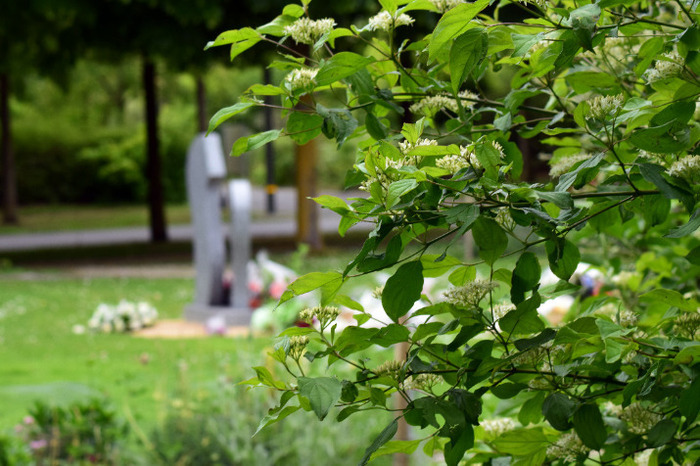 A la découverte de la biodiversité du cimetière paysager de la Neuvillette
