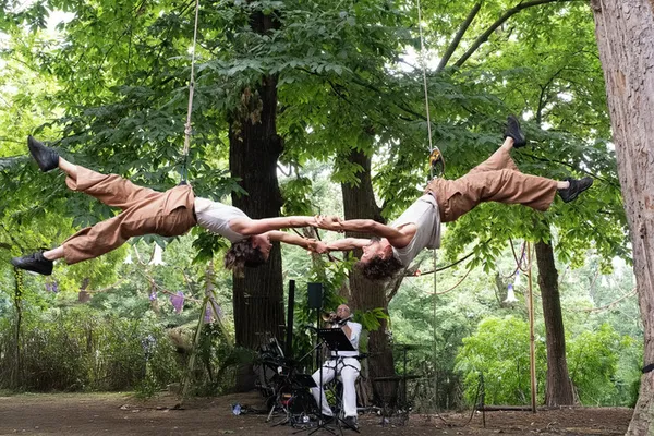 CIE IN FINE : 2 DANS L'ARBRE