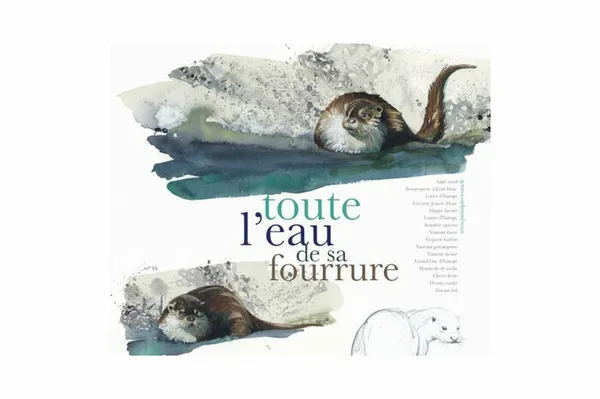 Exposition "Toute l'eau de sa fourrure"