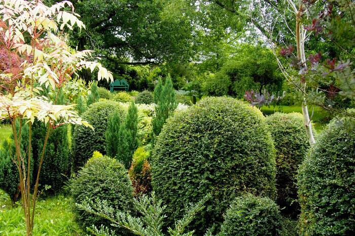 Découverte du Jardin de Lamphily