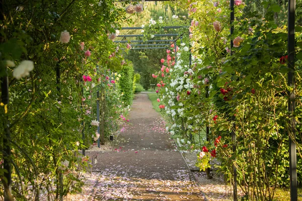 Visite guidée technique avec le chef jardinier
