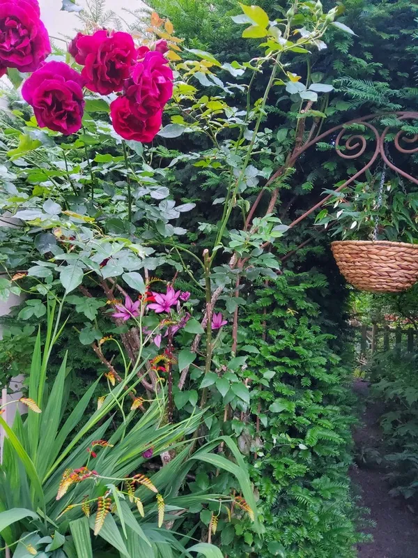 Découverte du Jardin de l'Aridaine