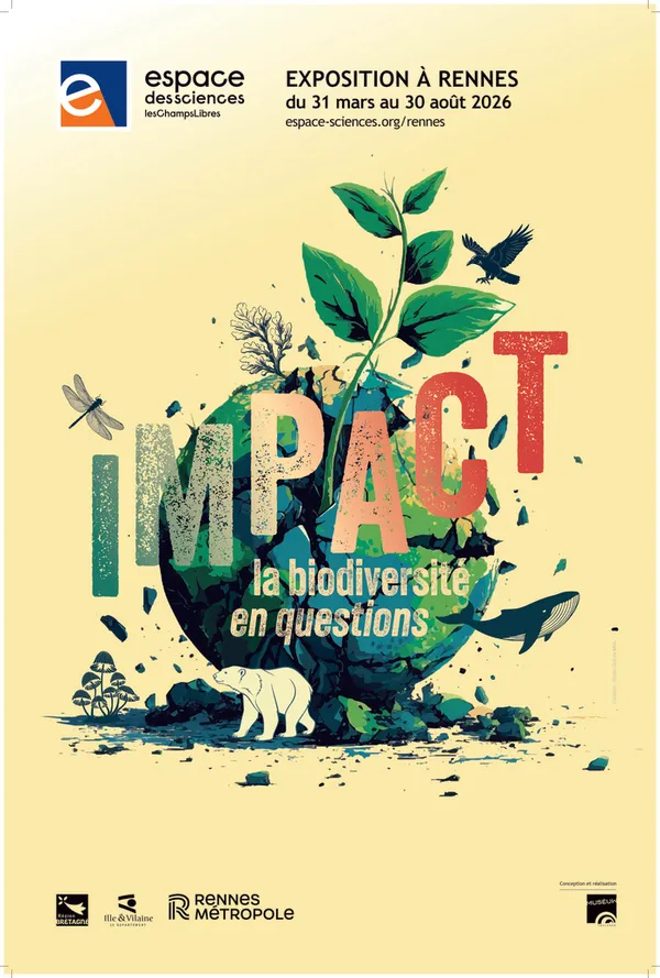 Impact