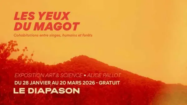 Les Yeux du Magot