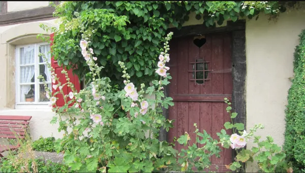 Visite guidée d'une authentique maison Lorraine du XVIIe et de son arboretum.
