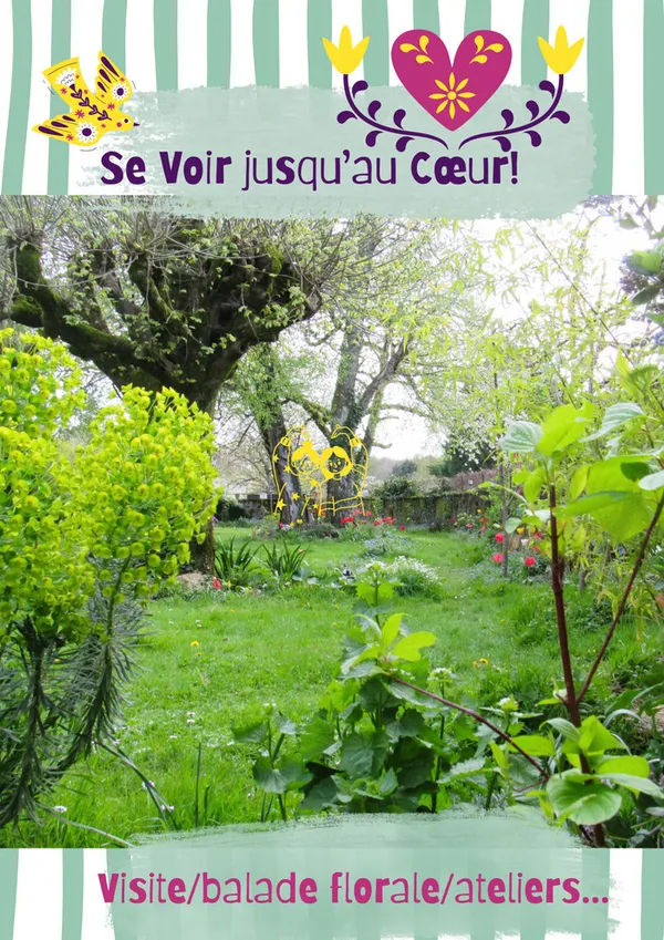 Se voir jusqu'au cœur !