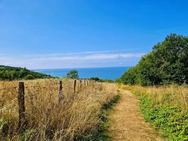 Sur les hauteurs des falaises des vaches noires