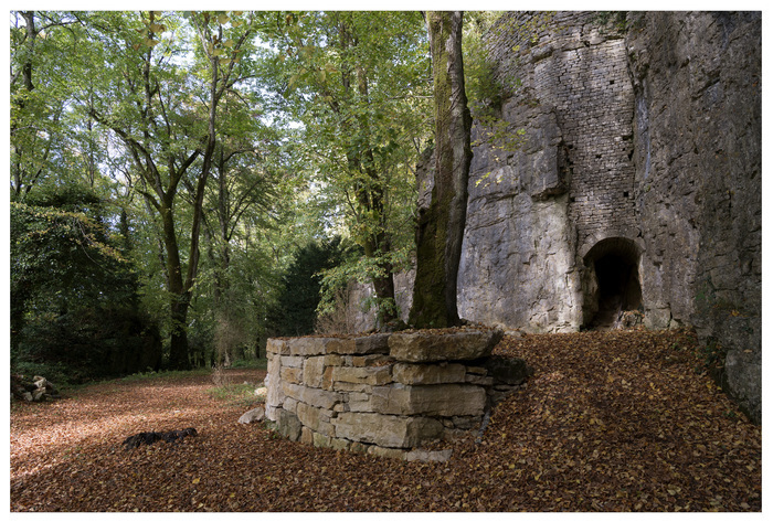 Découverte guidée du Parc de Bourmont