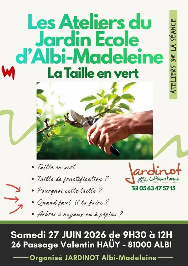 LA TAILLE EN VERT
