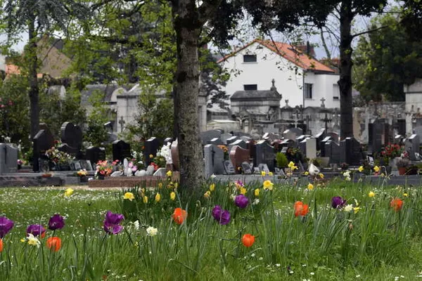 Visites « Le tombeau déconstruit »