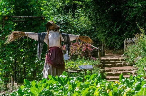 Présentation du Jardin potager : Confection d'épouvantails
