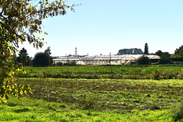 Visite de l'exploitation "le Jardin de Cyril" (maraîchage)