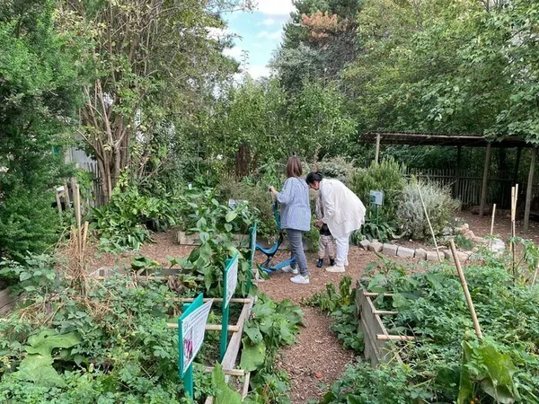 Visite libre du jardin pédagogique de l'Île de la Jatte