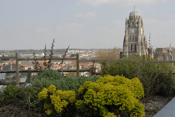 Lecture de paysage sur le site Saint-Louis
