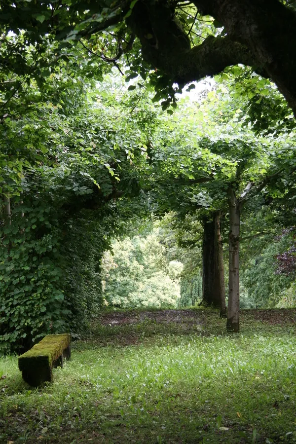 Venez découvrir le parc XVIIIe siècle d'un château daté du XVIIe.