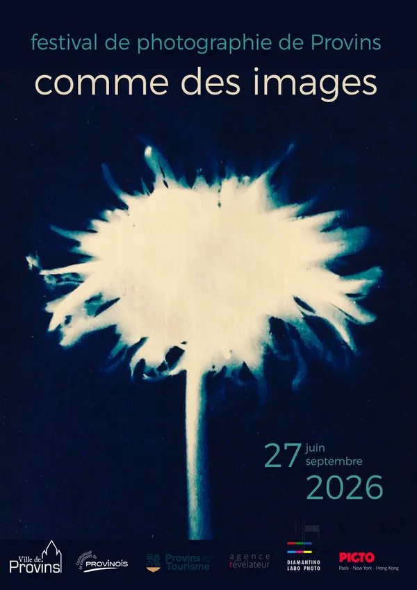 comme des images - premier festival de photographie de Provins