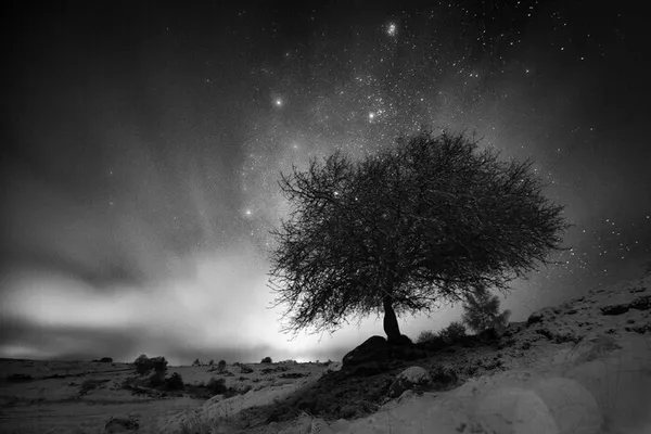 Night and White