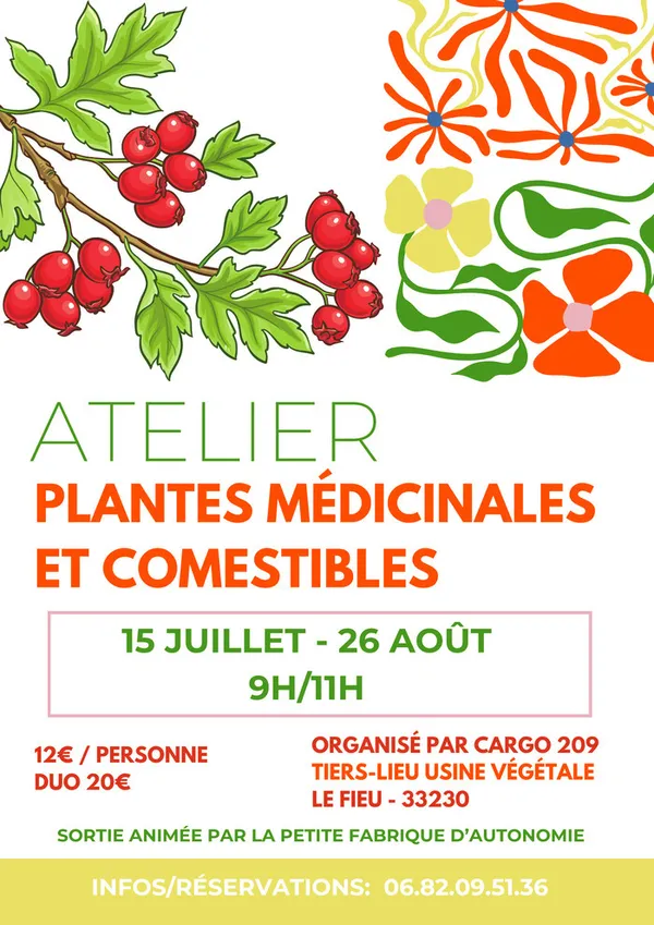 Atelier sur les plantes médicinales et comestibles