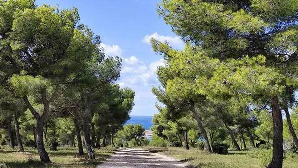 Histoire et paysages : exploration des vestiges militaires de Martigues