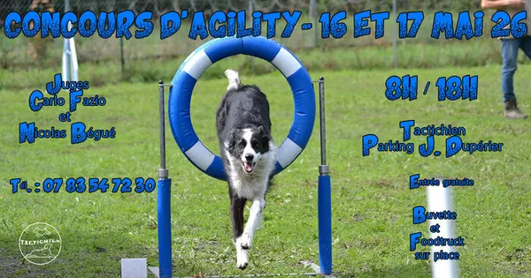Concours d'agility