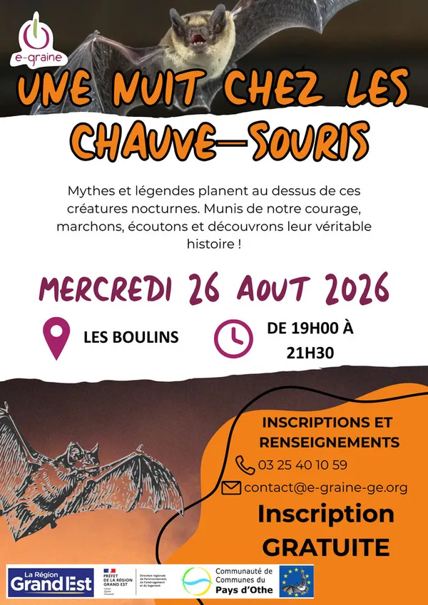 Une nuit chez les chauves-souris