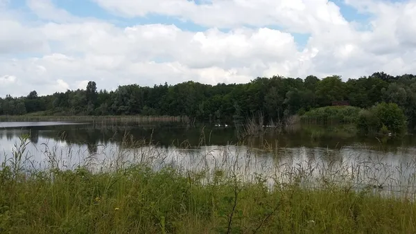 Un après-midi au cœur de la réserve du Grand-Voyeux