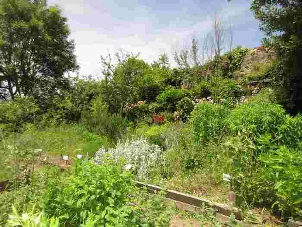 Accueil au jardin médiéval