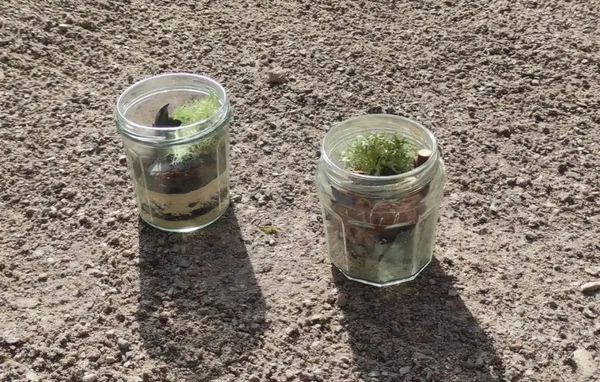 Pot'de jardin